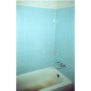 BEFORE - Outdated tile with mold